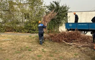 Фото: Филиалы Гомельской энергосистемы с энтузиазмом принимают участие в  акции "Чистый четверг"