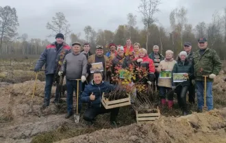 Фото: Работники "Гомелькиновидеопрокат" и их семьи приняли участие в акции «Дай лесу новае жыццё!»