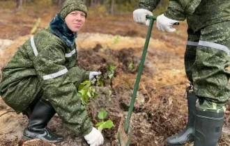 Фото: Военно-транспортный факультет БелГУТа включился в акцию «Дай лесу новае жыццё!»