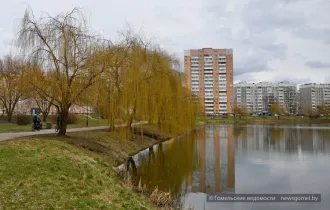 Фото: Прогноз погоды на 4 декабря и ближайшие дни