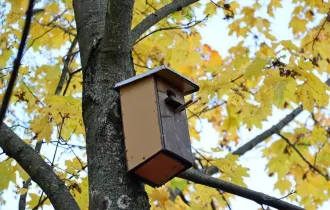 Фото: Как гомельчане заботятся о птицах в холодное время года