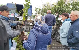 Фото: Осенние ярмарки: подходи, приценяйся, покупай, не стесняйся!