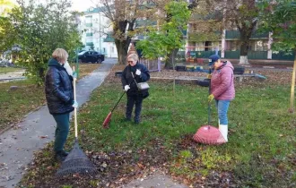 Фото: На Сельмаше убирают листву 