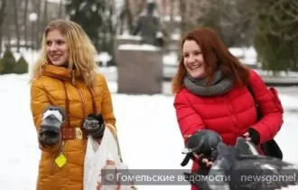 Фото: В центральном парке Гомеля кормили белок и птиц