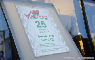 Фото: Снег и ветер не помеха агитационной борьбе. Жителей Советского района звали на выборы