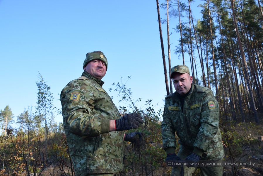 Фото: Гомельские пограничники приняли участие в акции «Дай лесу новае жыццё!»