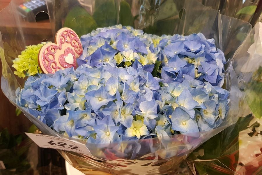Фото: Какие цветы пользуются спросом в канун 8 Марта у гомельчан? 