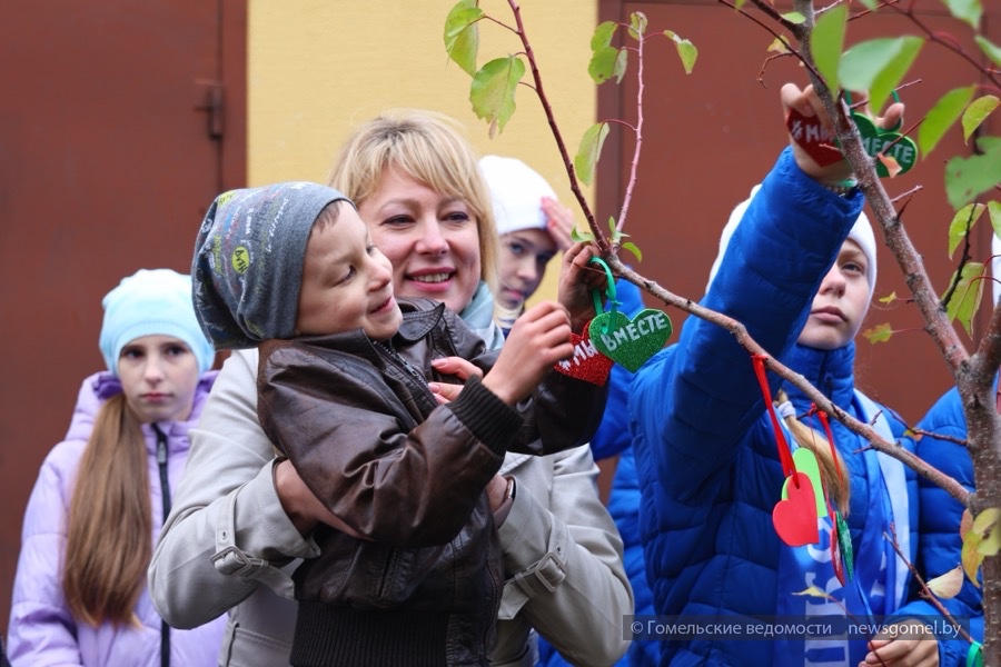 Фото: В Новобелицком районе состоялась акция "Дерево мира и согласия" для домов семейного типа