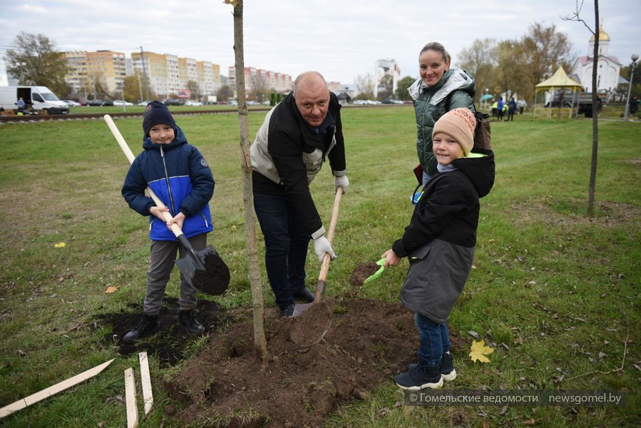 Фото: В Новобелицком районе Гомеля проходит городская акция "Семейное дерево"