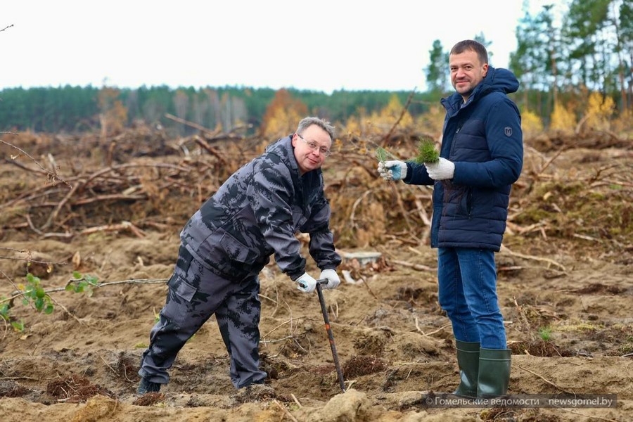 Фото: Инициатива Главы государства горячо поддержана на Гомельщине