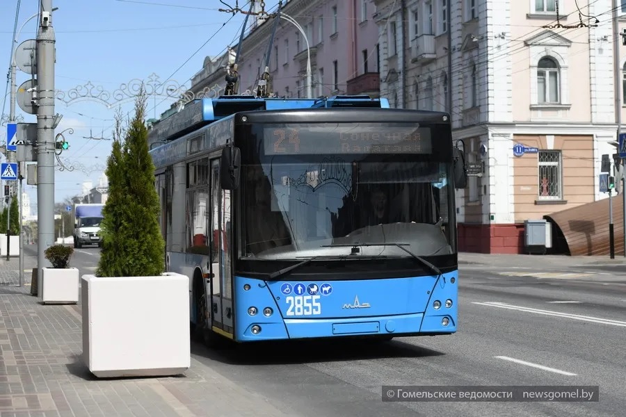 Фото: Антифейк: весь общественный транспорт выходит на маршрут 