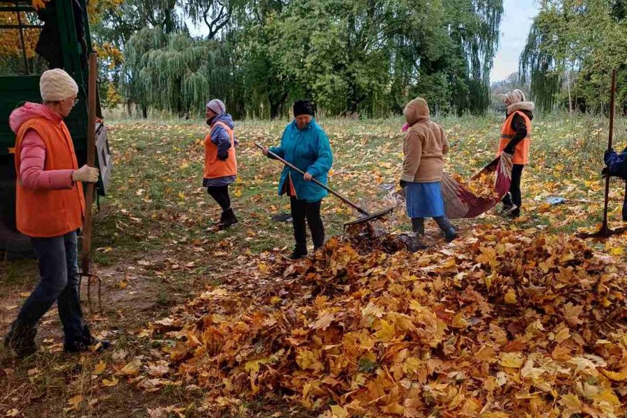 Фото: На Сельмаше благоустраивают территории