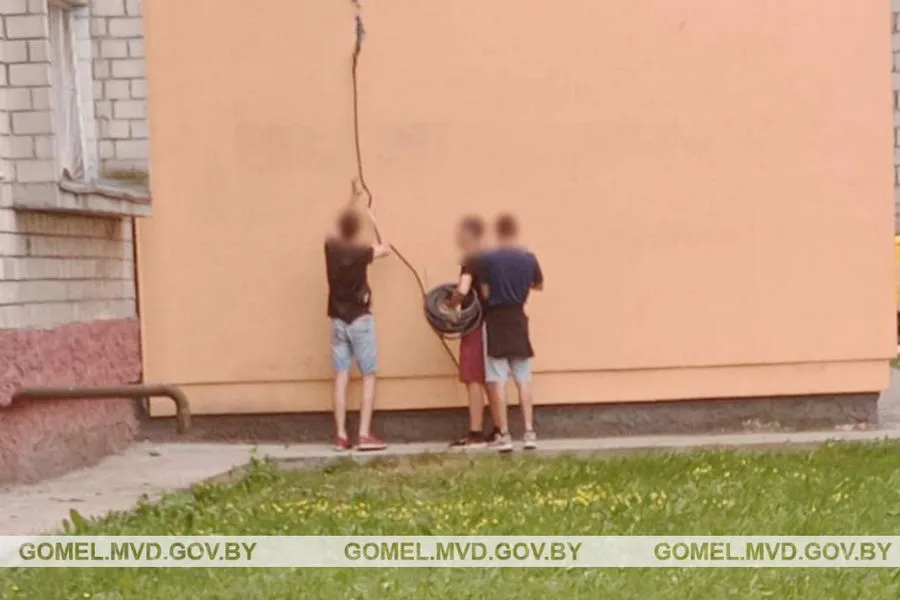 Фото: В Гомеле задержана группа, срезавшая кабеля с базовых станций операторов сотовой связи
