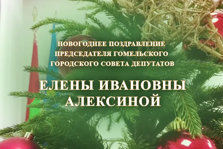 Фото: Новогоднее поздравление председателя Гомельского городского Совета депутатов Елены Алексиной