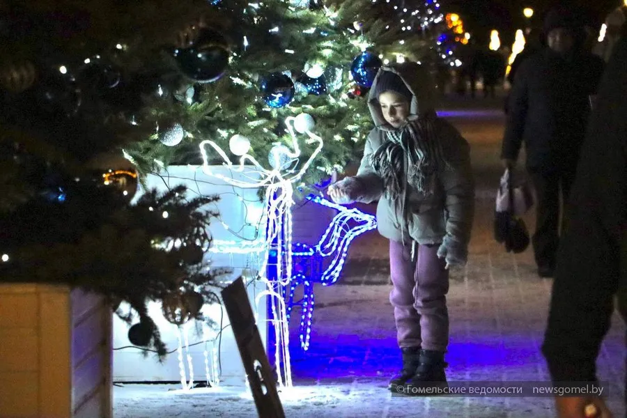 Фото: В Гомеле продолжаются волшебные праздники: развлекательные программы и встречи с Дедом Морозом