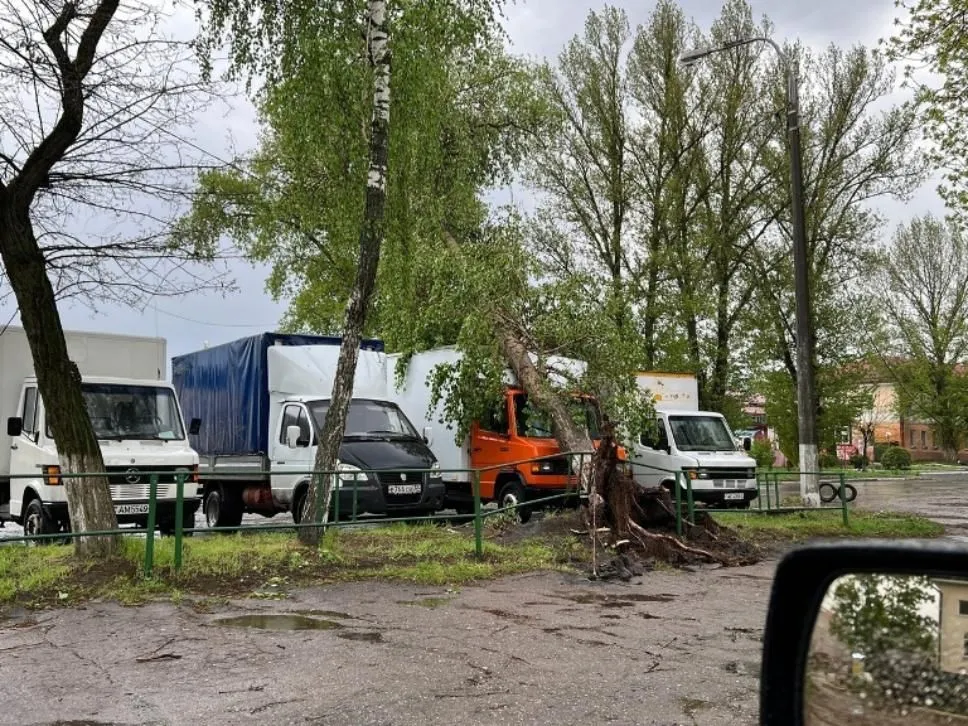 Сильные новости чп гомель. Сильные новости Гомеля и Гомельской. Последствия плохой погоды в Курской области.