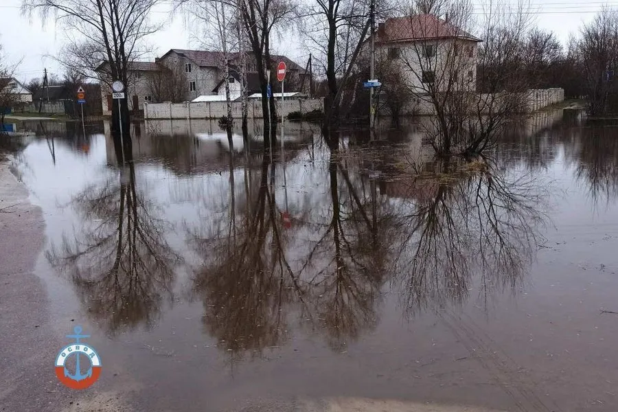 Уровень воды сож в славгороде сегодня реке. Гомель затопления 2023. Паводок. Наводнение. Гомель наводнение.
