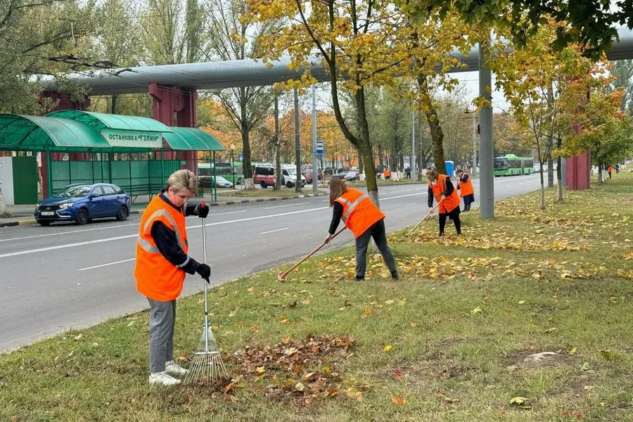 Фото: В Гомеле проходит осенний месячник по благоустройству. Присоединяйтесь!