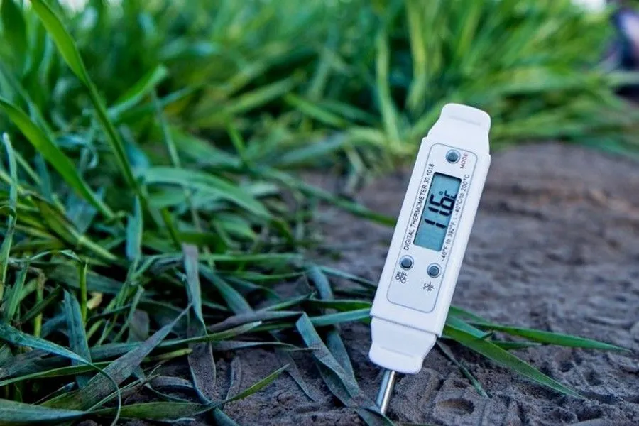 Фото: уДАЧНЫЕ СОТКИ: при какой температуре почвы можно начинать посевную кампанию?