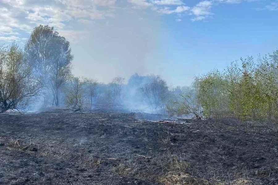 Фото: В районе озера «Любенское» произошёл пожар