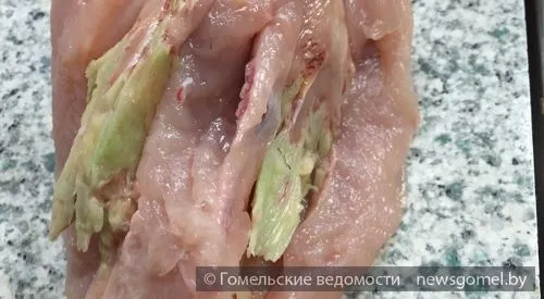 Зеленое мясо бройлера курицы