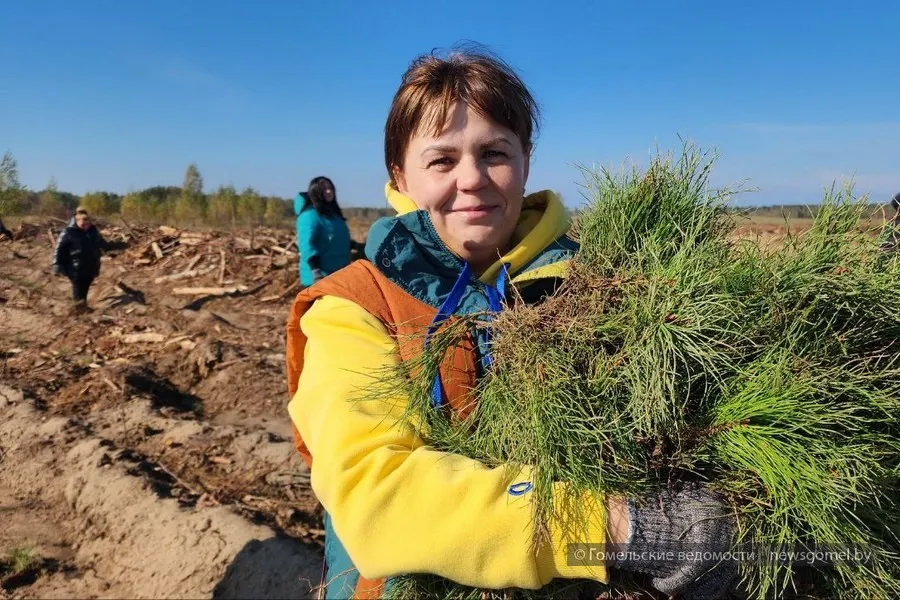 Фото: Гомельчане в числе первых поддержали акцию «Дай лесу новае жыццё!»