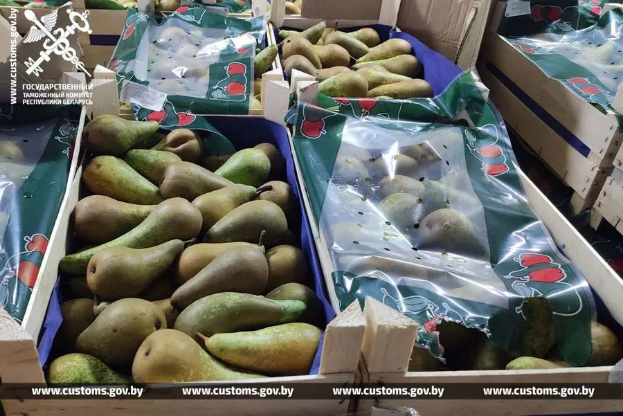 Фото: За неделю белорусские таможенники установили 16 фактов незаконного перемещения груш