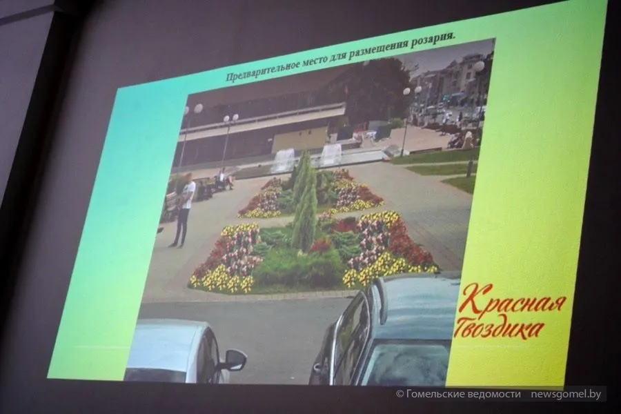 Фото: Станет ли Гомель городом тюльпанов?