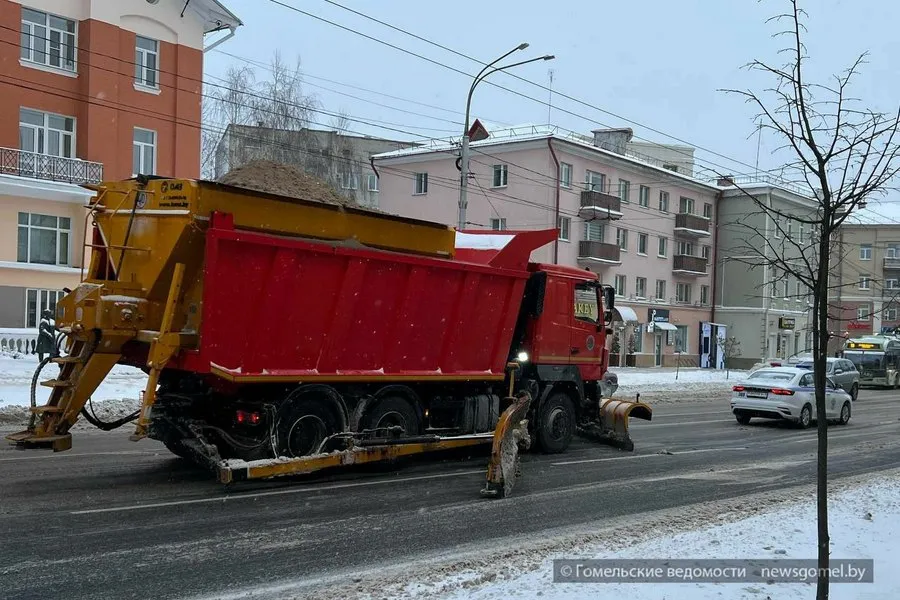 Фото: В Гомеле специалисты рассказали, как обрабатывают улицы