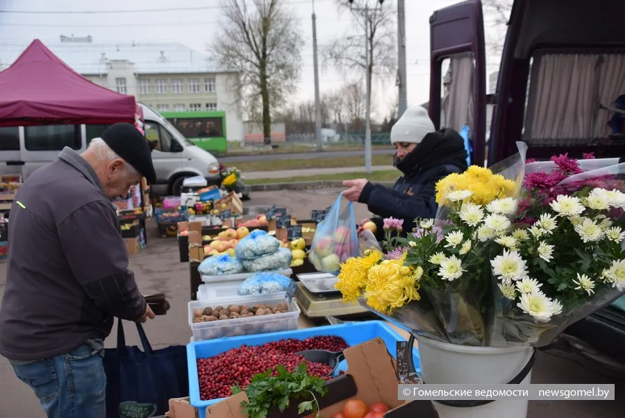 Фото: «Королева Анна» за 1рубль 40 копеек: что почём в Гомеле на ярмарке по улице Ильича