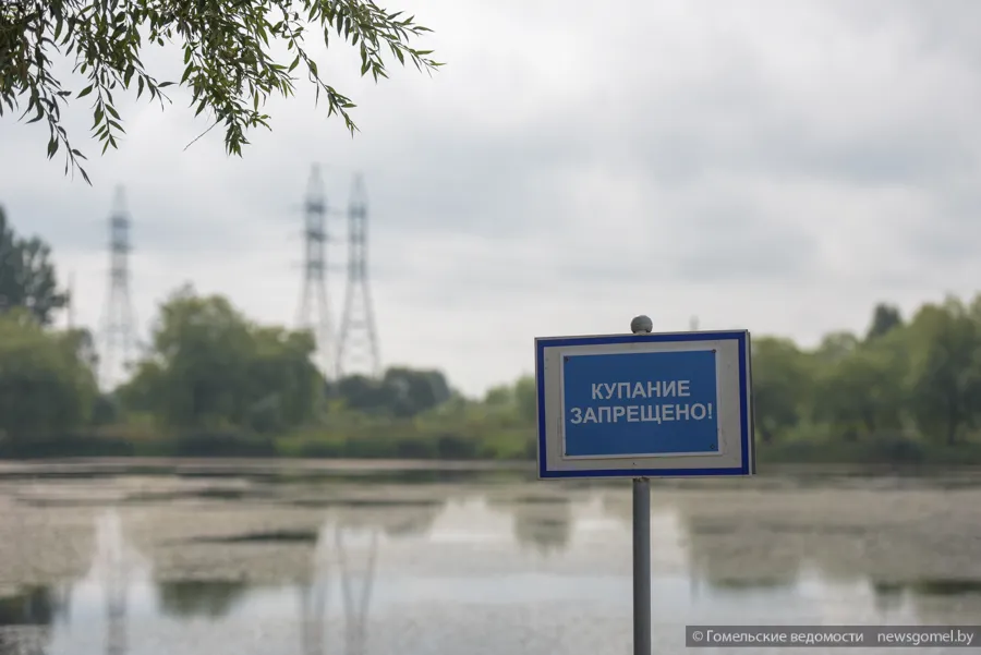 Костюковка гомельская область