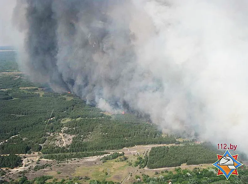Пожар в Хойникском районе заповедник.