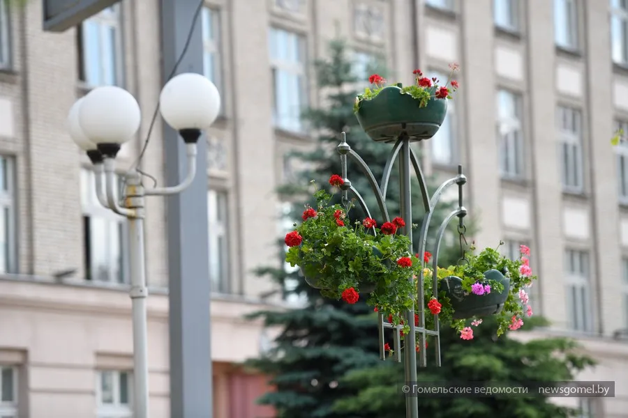 Как привлечь в дом деньги. Народные приметы