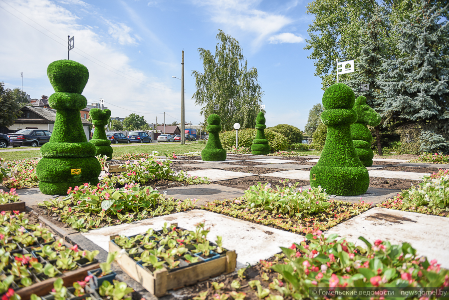 Парки бреста. Савушкин парк Брест. Центральный парк в Бресте. Витебск парки. Сельмашевский парк.